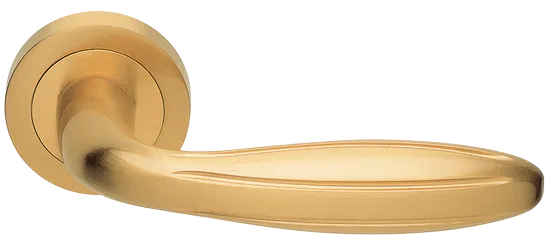 BUD R2 OSA, ручка дверная, цвет - матовое золото фото купить Новосибирск