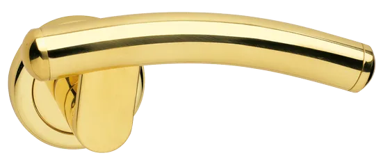 LUNA R4 OTL, ручка дверная, цвет - золото фото купить Новосибирск