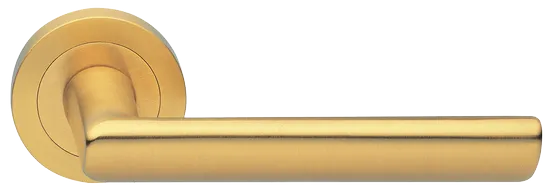 STELLA R2 OSA, ручка дверная, цвет - матовое золото фото купить Новосибирск