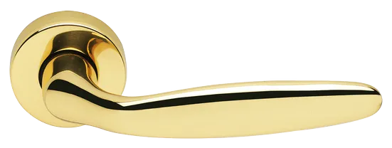 DERBY R3-E OTL, ручка дверная, цвет - золото фото купить Новосибирск