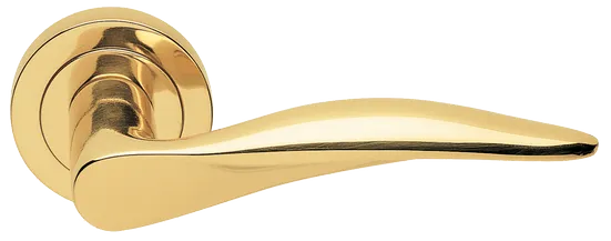 DALI R2 OTL, ручка дверная, цвет -  золото фото купить Новосибирск